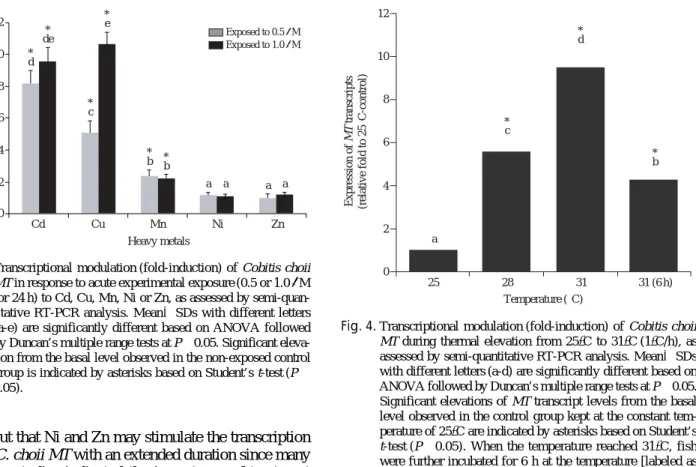 Fig. 3. Transcriptional modulation (fold-induction) of Cobitis choii MT in response to acute experimental exposure (0.5 or 1.0 μM for 24 h) to Cd, Cu, Mn, Ni or Zn, as assessed by  semi-quan-titative RT-PCR analysis