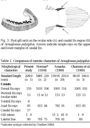 Table 1. Comparison of meristic characters of Arnoglossus polyspilus Morphological Present Norman* Amaoka  Okamura  et al.