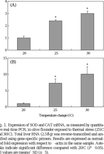 Fig. 1. Expression of SOD and CAT mRNA, as measured by quantita- quantita-tive real-time PCR, in olive flounder exposed to thermal stress (25� C and 30� C)