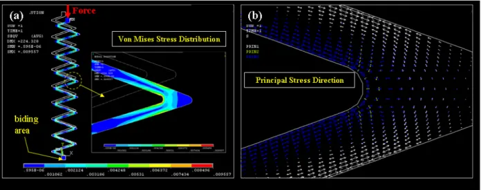 Fig. 2 FE Analysis results (a) Von Mises stress distribution (b) Principal stress distribution발트 합금재료의 시편을 제작하고,  이에 대한 물성시험을 수행하여 그 결과를 구조설계에 활용하였다.설계하고자 하는 수직형 MEMS  프로브 크기는 마이크로  단위이다