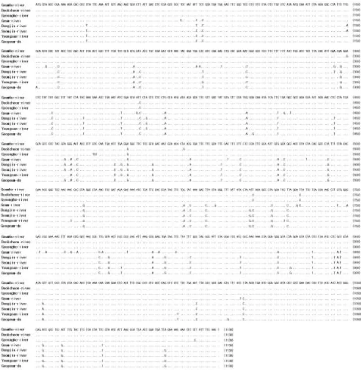 Fig. 3. The sequence alignment of mitochondrial cytochrome b genes of L. mediadiposalis