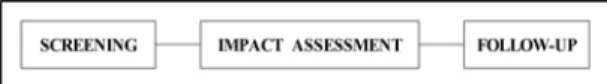 Fig. 1. The stages of environmental assessment to be reviewed in the study.