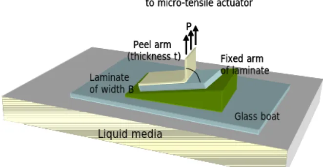 Fig. 1 Peel testing system developed in this  study. 