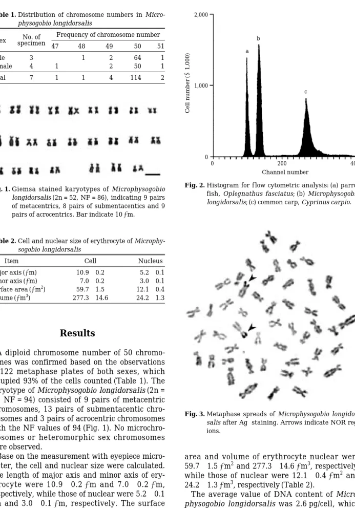 Table 1. Distribution of chromosome numbers in Micro- Micro-physogobio longidorsalis