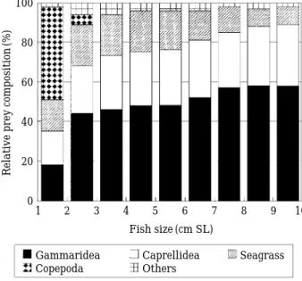 Table 1. Percent composition of the stomach contents of Stephanolepis cirrhifer by frequency of  occur-rence, number and dry weight