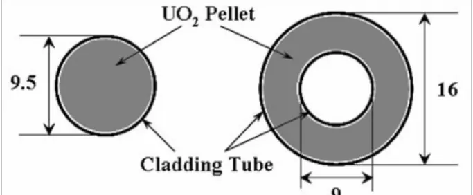 Fig. 4 Schematic cross-sectional configurations of PWR  fuel rod and annular fuel. 