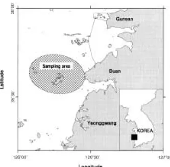 Fig. 1. Map showing the sampling site for black rockfish, Sebastes schlegeli in the western coastal water of Korea.