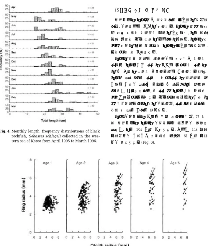 Fig. 4. Monthly length-frequency distributions of black rockfish,  Sebastes schlegeli collected in the  wes-tern sea of Korea from April 1995 to March 1996.