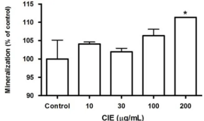Fig.  4.  Effect  of  CIE  on  the  mineralization  of  MC3T3-E1  cells.  MC3T3-E1  cells  were  cultured  in  the  presence  or  absence  of  CIE  for  48  hr