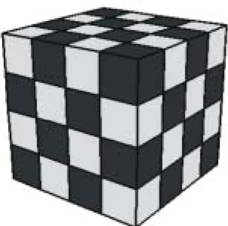 Fig. 4  Finite element model of self accommodation  groups. Dark and light regions correspond to two  self accommodation groups