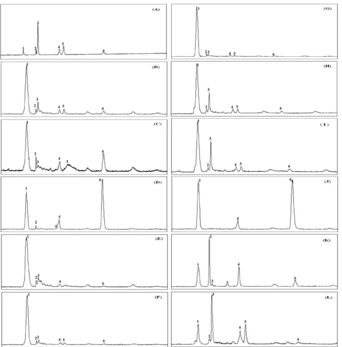 Fig.  1.  Silver-ion  HPLC  separation  of  infant  formulas.  (A)  standard,  (B)  K1,  (C)  K2,  (D)  K3,  (E)  K4,  (F)  K5,  (G)  K6,  (H)  K7,  (I)  K8,  (J)  F1,  (K)  F2,  (L)  F3