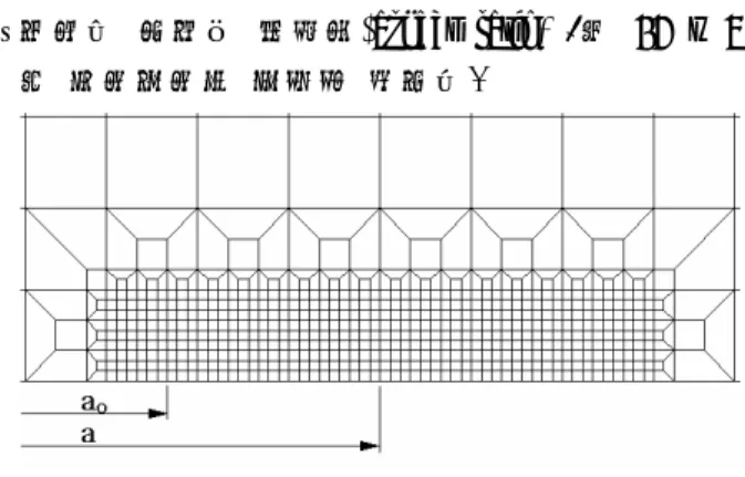 Fig. 1 Typical fine mesh configuration