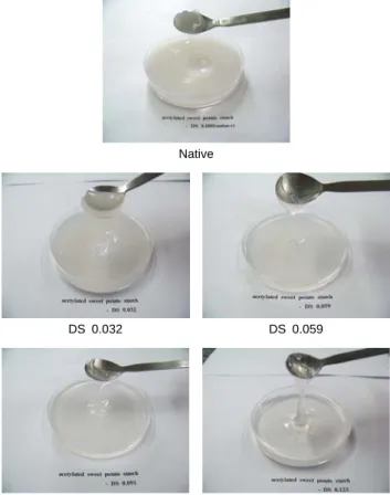 Fig.  1.  Appearance  of  native  and  acetylated  sweet  potato  starch  gels. 천연 고구마전분의 투과도 값(8.50%)보다 높게 나타났으며  치환도가 증가할수록 투과도 값도 증가하는 경향을 나타내 었다(Table  3)