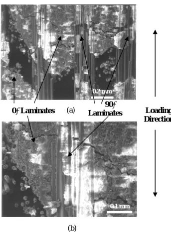 Figure 5 presents a more detailed failure mode of the  cross-ply Nicalon™/CAS composites