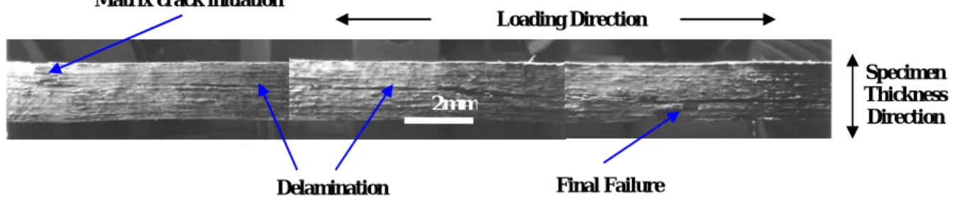 Fig. 6.    The cross-sectional (along the through-thickness direction of the coupon) view of the fracture surface along the  entire gage length in unidirectional Nicalon™/CAS composites