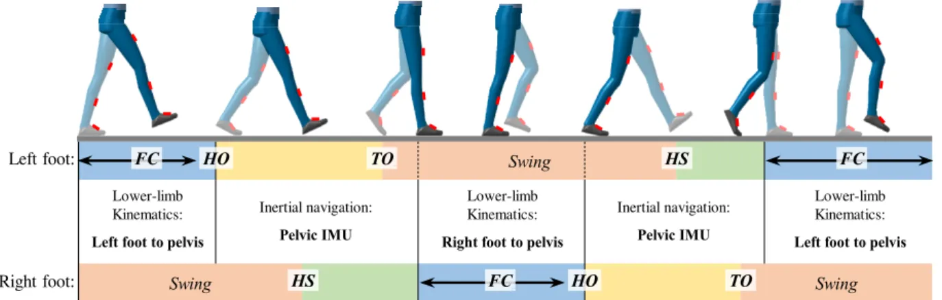 Fig. 1 Schematic diagram of proposed walking velocity estimation method according to contact steps between foot and  ground 