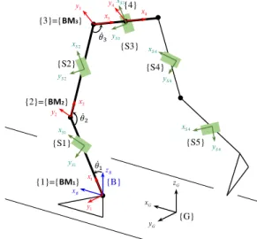 Fig. 2  Coordinate frames assigned to joints from left  foot contacted with ground to middle of pelvis 