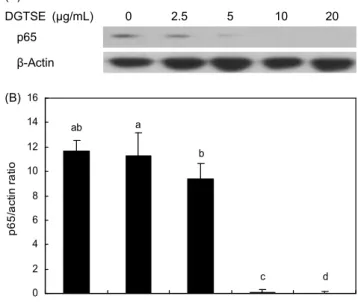 Fig. 6. Effects of defatted green tea seed ethanol extract on TNF-α protein expression in HepG2 cell