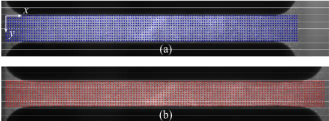 Fig. 3  Images of (a) undeformed and (b) deformed  specimens 