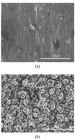 Fig. 10 SEM images of (a) the drum and (b) the outer  side of the specimen 