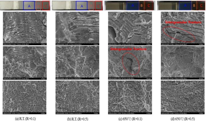 Fig.  8  SEM  images  of  the  fatigue  crack  propagation  test