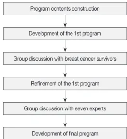 Fig. 1. Process of Development of the Program.