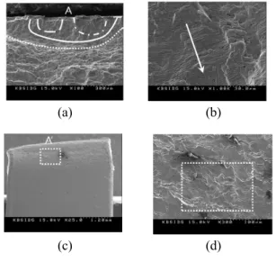 Fig. 7 The fractography of small surface crack of  the STS 304L plate specimen (UFT, Max
