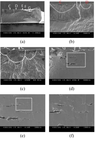 Fig. 8 The fractography of small surface crack of  the STS 304L plate specimen (UFT, Max