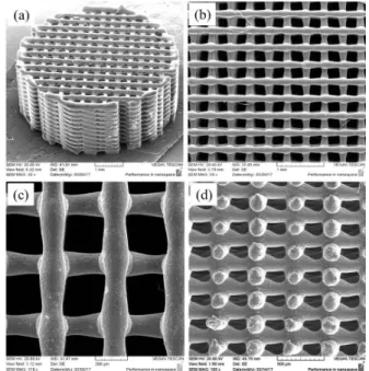 Fig. 6 SEM images of square-type PCL scaffold 