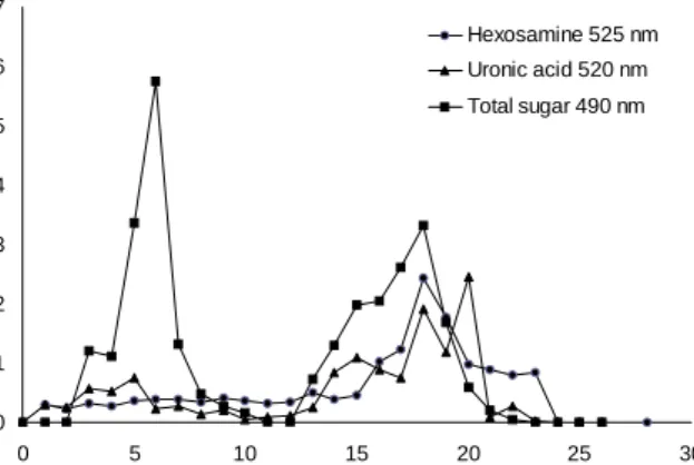 Fig.  1.  Chromatogram  of  polysaccharide  from  sea  hare  mus- mus-cle  on  DEAE-Sepharose  fast  flow