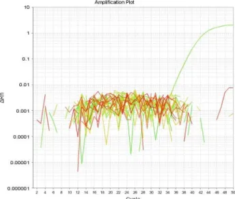 Fig.  3.  Real-time  PCR  for  the  detection  of  Salmonella  spp. 