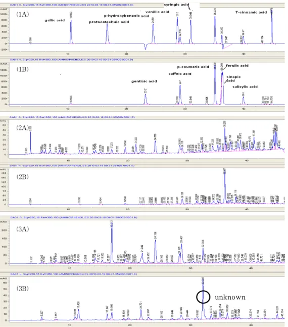 Fig.  1.  Chromatogram  of  phenolic  acid  on  standard  phenolic  acids,  free  type  phenolic  acid  of  non-fermented  and  fermented  ginseng  leaf