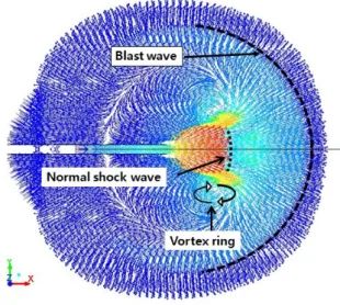 Fig. 5 Supersonic jet flow fields generated by high