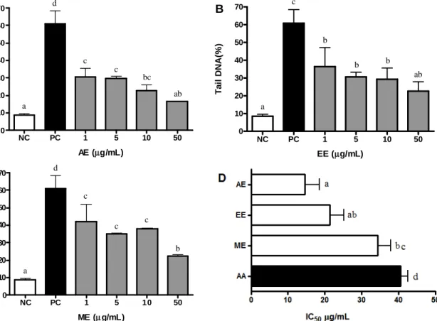 Fig.  4.  Effect  of  supplementation  in  vitro  with  different  concentrations  of  Schizandra  chinensis  B