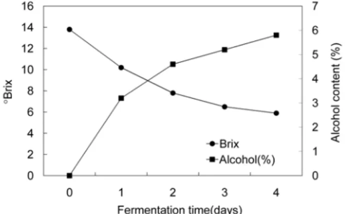 Fig.  1.  Changes  of  sugar  concentration  and  alcohol  content  during  alcohol  fermentation  of  apple.