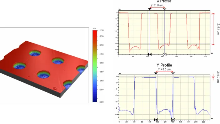 Fig. 1  Surface topography for micro-scale dimple 