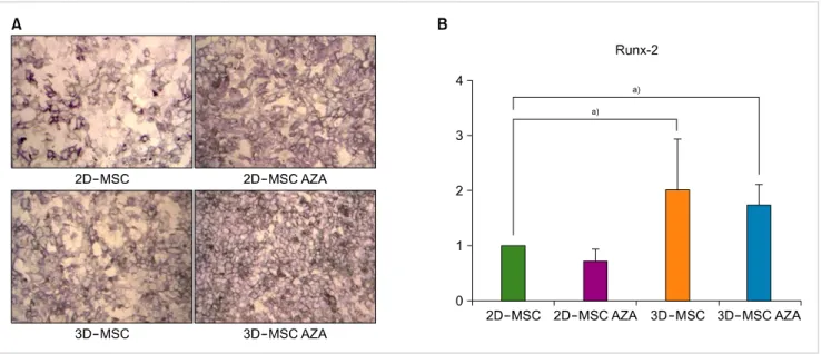 Fig. 2. MSC osteogenesis. (A) ALP staining was performed after the osteogenic differentiation of MSCs treated with or without AZA