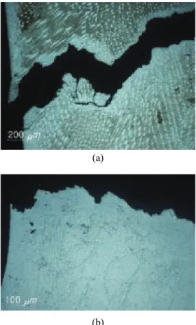 Fig. 9 Photograph of failed specimen for 0.6% of  total strain range at 850℃