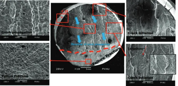 Fig. 11 Fractured surface observation of Alloy 617 weldment tested at 1.5% of total strain range 었다