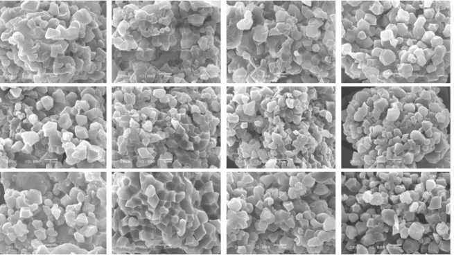 Fig.  4.  Scanning  electron  micro  photographs  of  non-waxy  rice  flours  prepared  at  various  steeping  times  using  different  grinding  methods  (×3000)