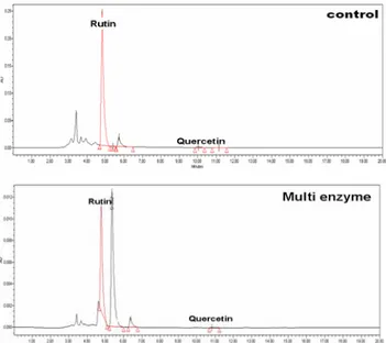 Table  4.  α -Glucosidase  inhibitory  activity  of  tartary  buck- buck-wheat  extract  according  to  the  treatment  of  different   sol-vents  and  enzymes