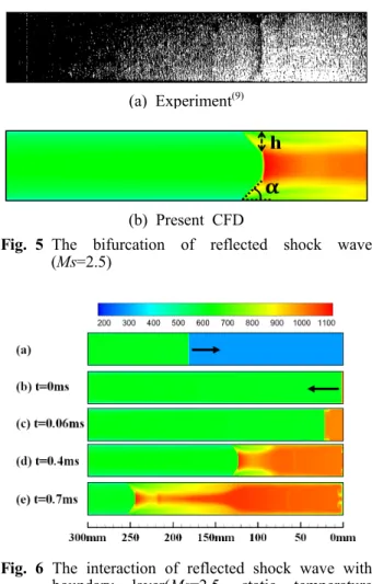 Fig. 4 Schematic of computational flow field