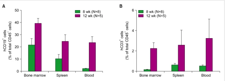Fig. 3. Human cell reconstitution of NSG mice transplanted with  hUCB-derived CD34 +  cells