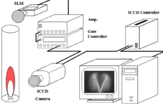Fig. 1 Schematic of OH* image acquisition system