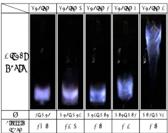 Fig. 3 Photographs of flame