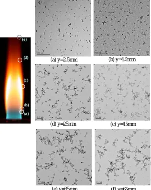 Fig. 3 The characteristics of soot evolution along the soot  maximum line in ethylene IDF (X C2H4 =1.0, v exit =6.9cm/sec);