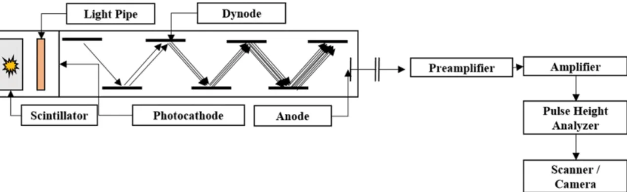Fig. 1. (Color online) The scheme of gamma camera system. Gamma energy converted to light through the scintillator is focused through a light pipe