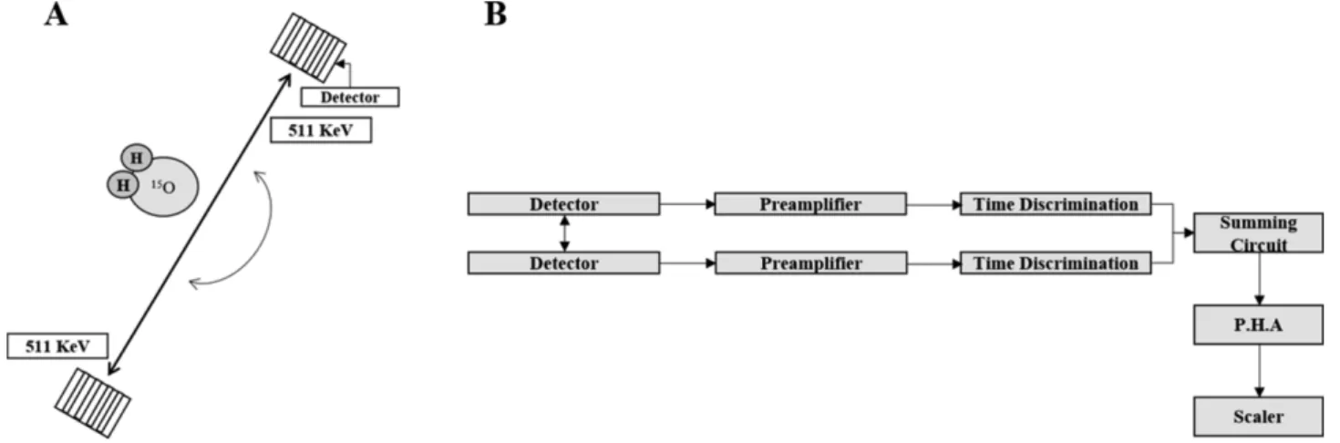 Fig. 3. The scheme of annihilation radiation (A) and coincidence circuit (B). Two gamma rays are generated in the direction of 180 degrees up and down  by  the  reaction  between  the  positron  emitted  from  the  atomic  nucleus  and  free  electrons