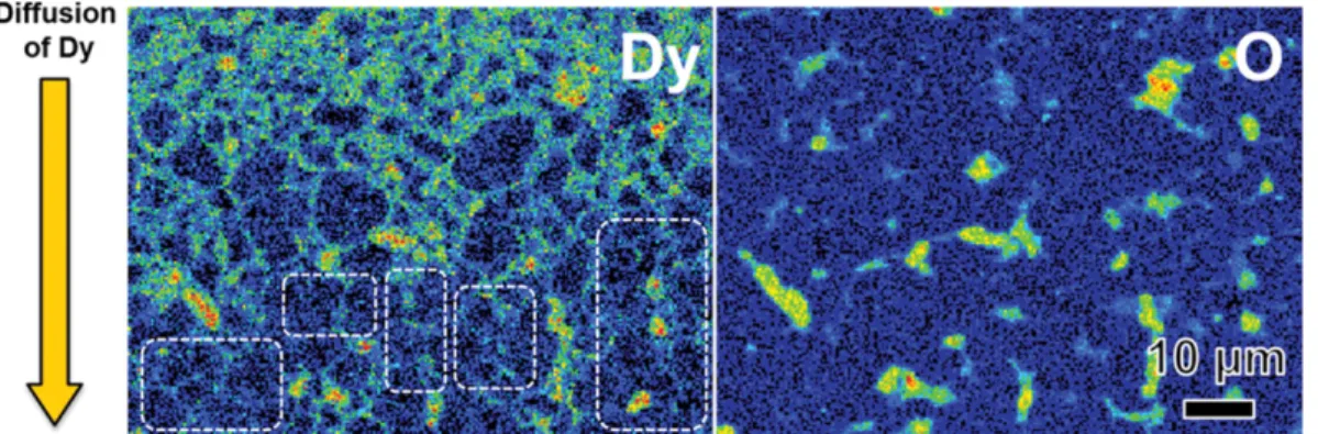Fig. 3. (Color online) Distribution of Dy and O in DyH 2 -GBDP magnets at a depth of ~50 m from magnet surface