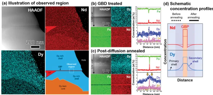 Fig.  6.  (a)  (Color  online)  Low  magnification  HAADF-STEM  image,  EDS  elemental  maps  for  Nd  and  Dy,  and  schematic  illustration  of  the observed region